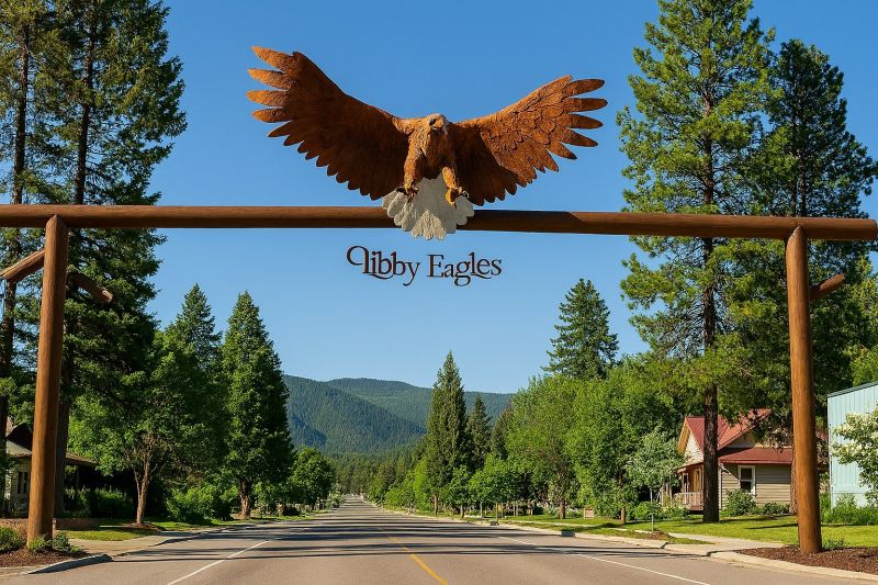 Best Tub To Shower Conversion pros in Eagle, ID