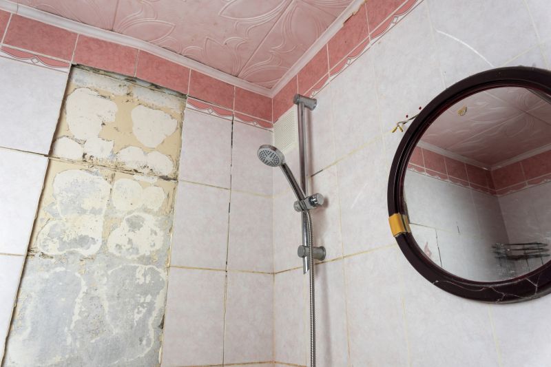 Top Shower Remodeling Companies in Middleton, ID